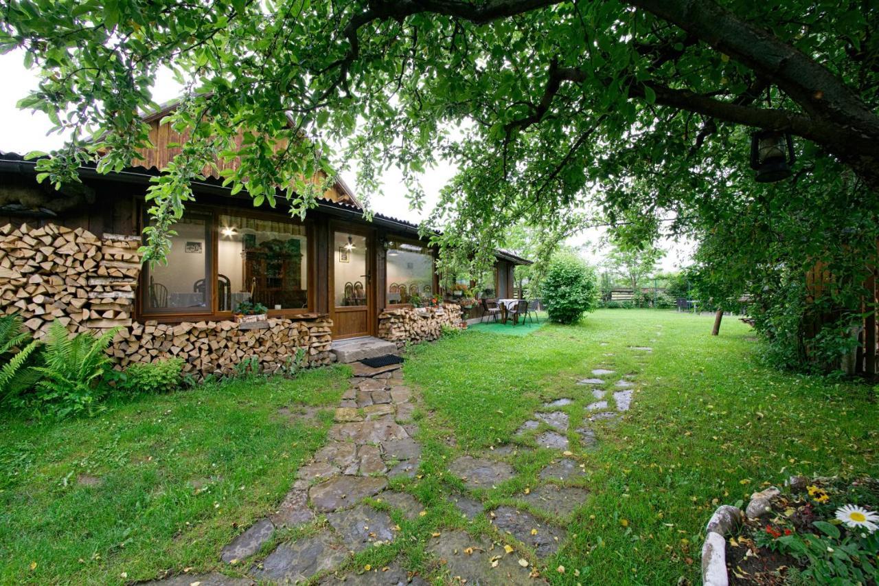 Pensiunea Casa Bianca - Bucovina Vama  Luaran gambar