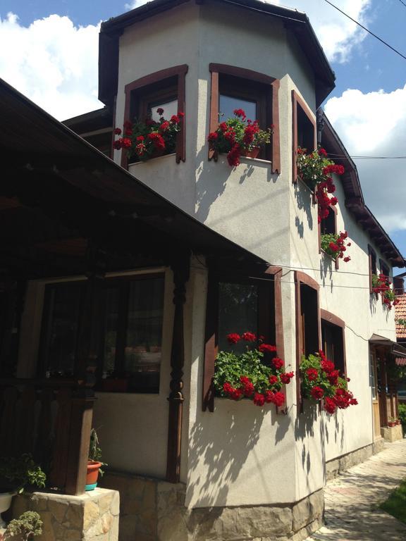 Pensiunea Casa Bianca - Bucovina Vama  Luaran gambar